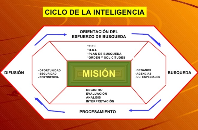 ciclo inteligencia